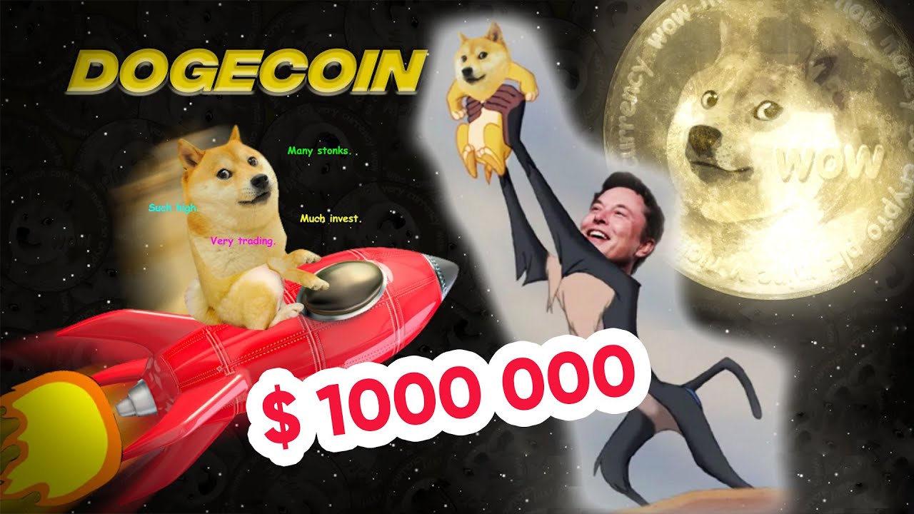 How To Make $1,000,000 With DogeCoin (DogeCoin Millionaires)