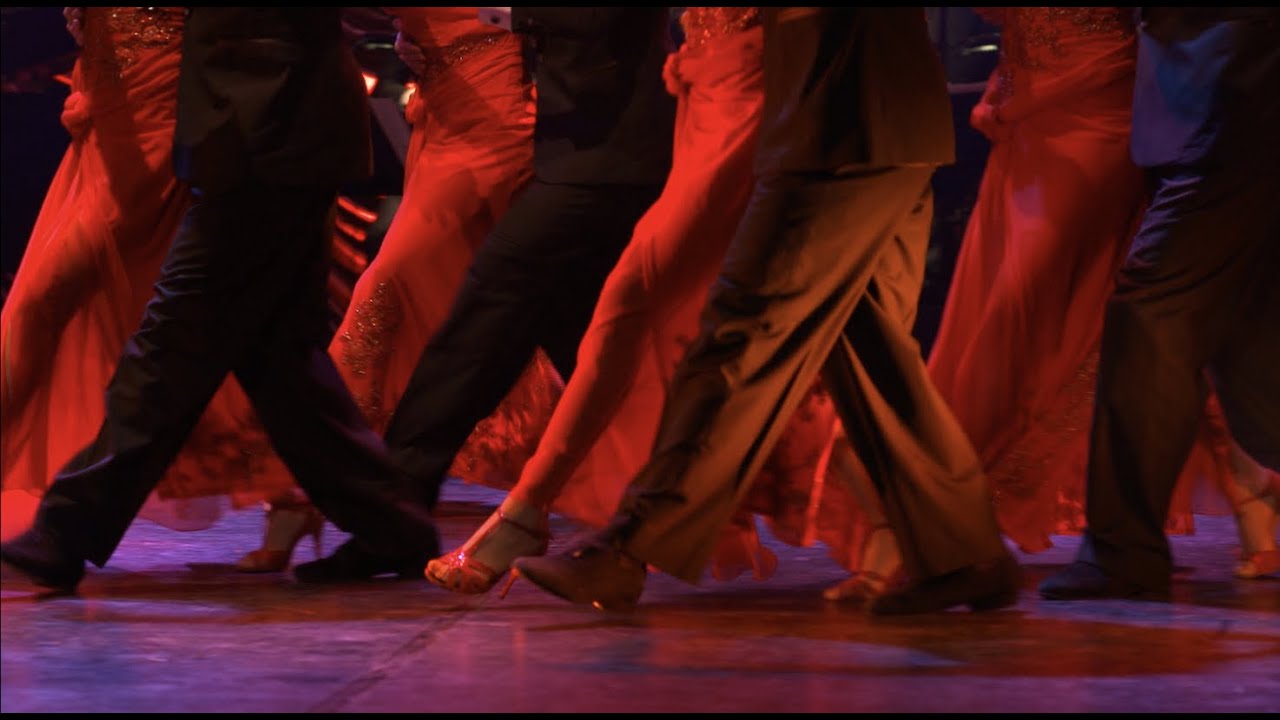 TANGO AFTER DARK... Let yourself be immersed into this intimate and intoxicating dance form!