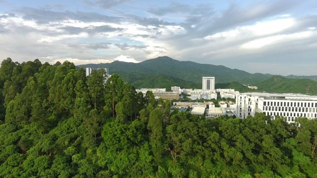 FIMI mini 3 SE sunset flight