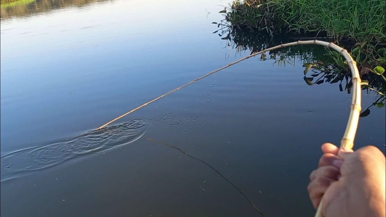 Que tremedeira foi essa por um instante achei que ele seria arrastado só gigantes na Pescaria Raiz