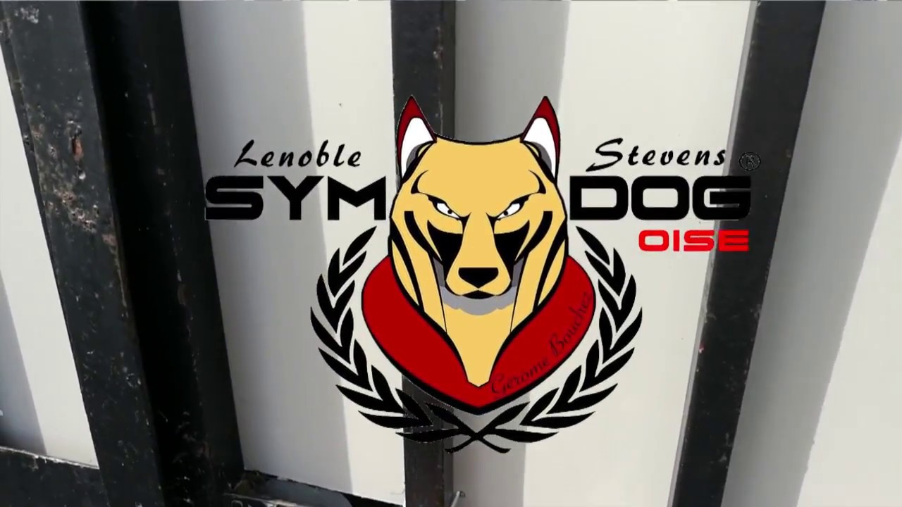 Agressivité malinois/ attaque la laisse / SYM DOG OISE