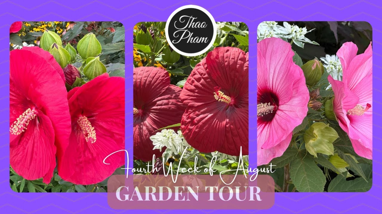 Garden Tour - Fourth Week of August 