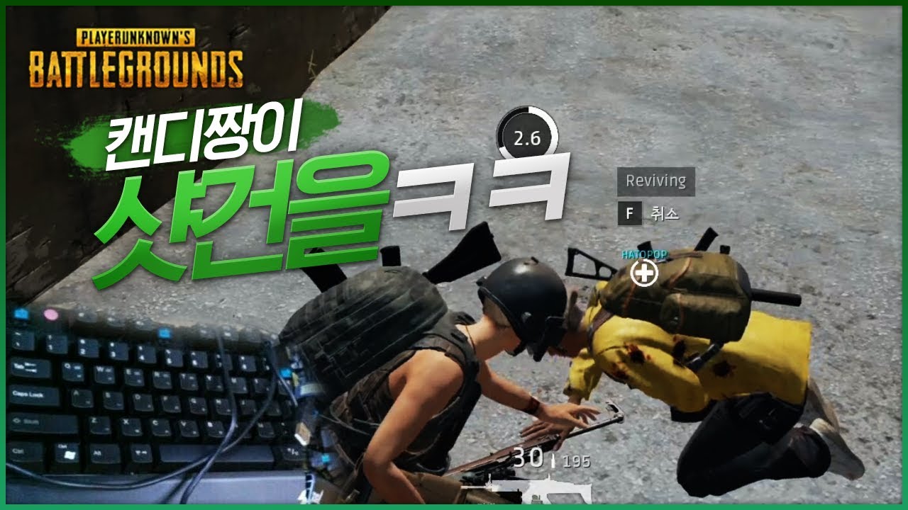 샷건도 귀엽게치는 캔디짱 (듀오) | 배틀그라운드 군림보
