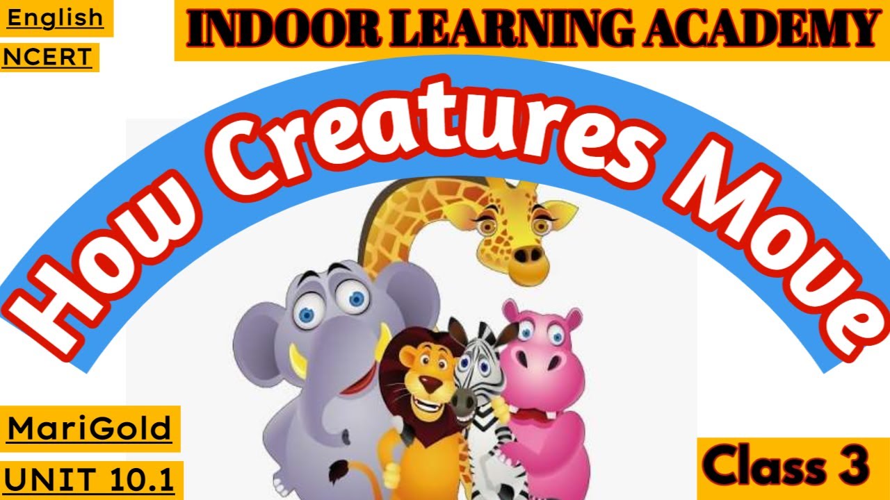 Class 3 Unit 10.1 How Creatures Move