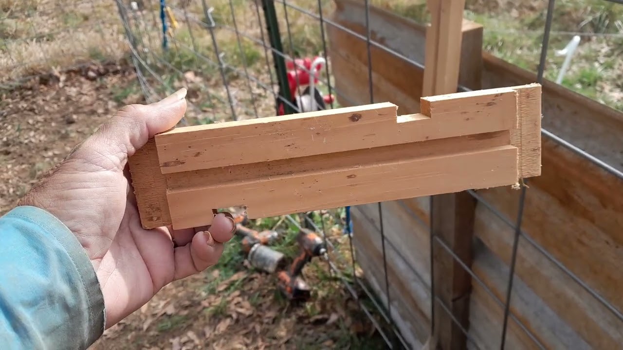 EP 203 sheep's first day with modified sheep fold