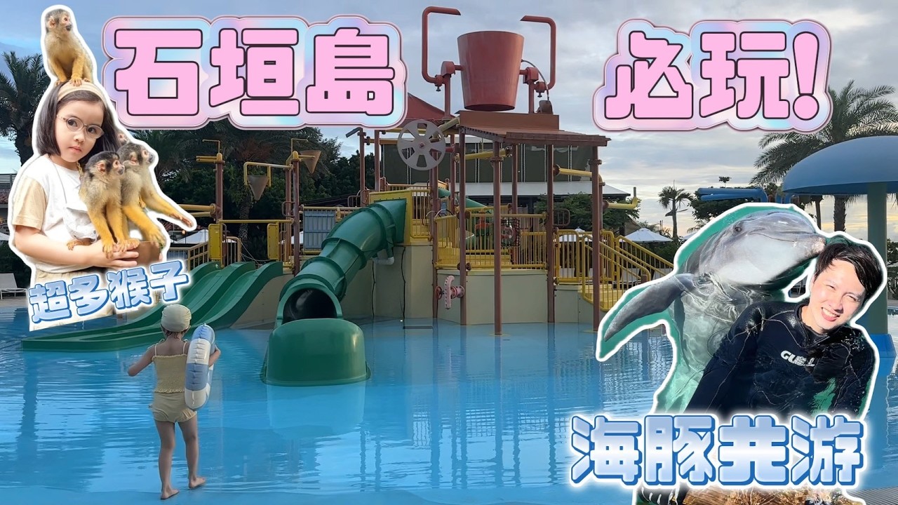 來石垣島...猴子把芝麻圍住！可以跟海豚一起游泳！？
