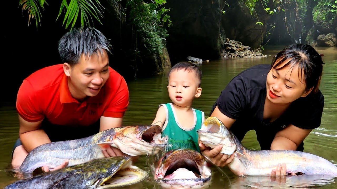 How rural people grow rice and trap huge fish | cooking - Chúc Tòn Bình