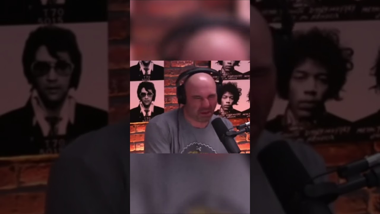 Joe Rogan and Jordan Peterson have a rational debate #shorts #funny #meme #edit