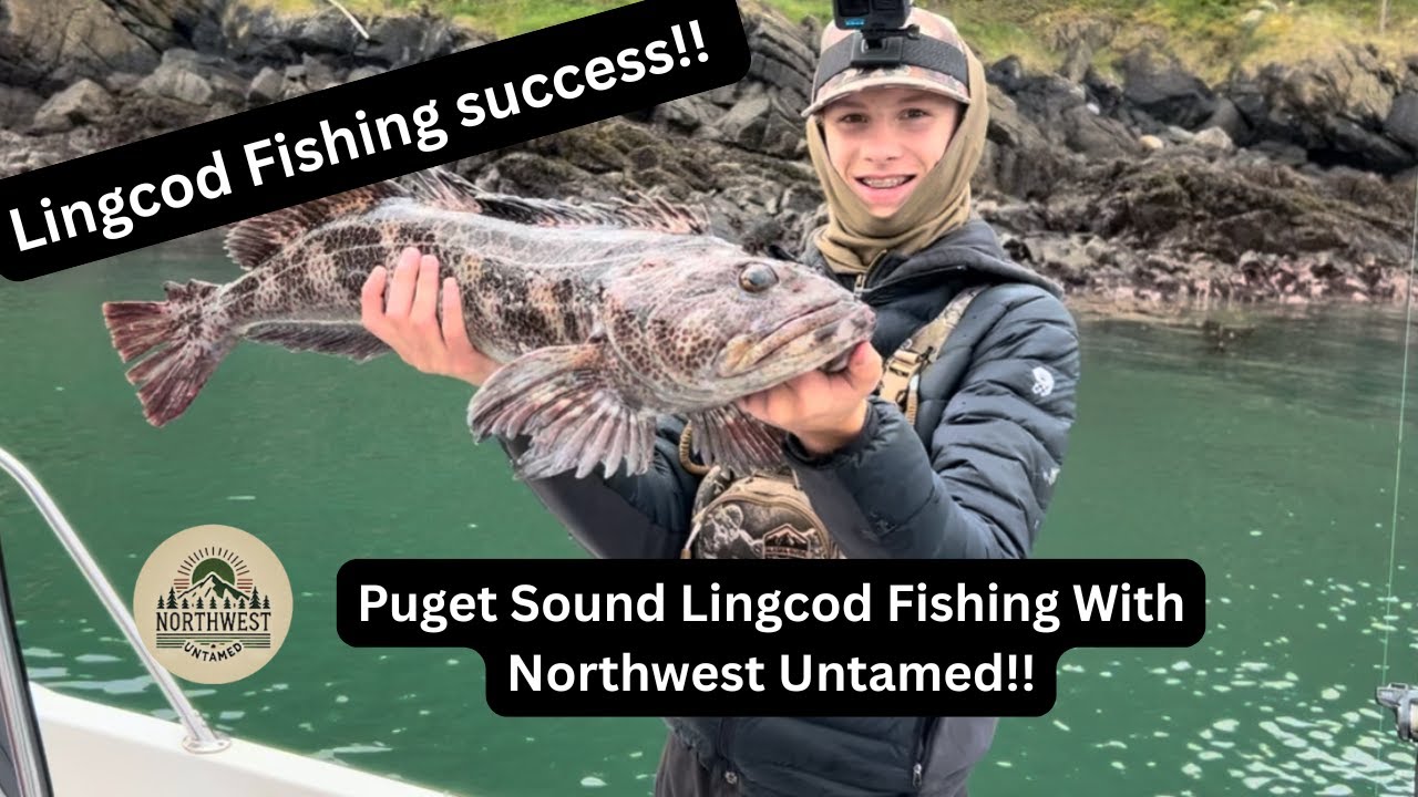 Puget Sound Lingcod Fishing - With Northwest Untamed!!