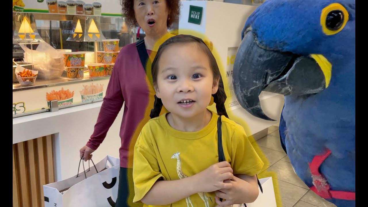 INCREDIBLY CUTE GIRL Touch my BIRD and can’t stop to stare at my Parrot in THE MALL!