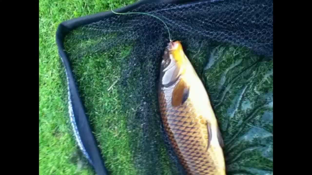 vis-tips-vangen