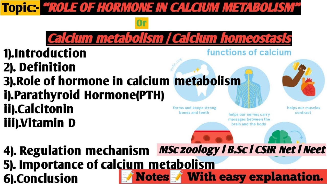 Role of hormone in calcium metabolism | Calcium Metabolism | Calcium Homeostasis