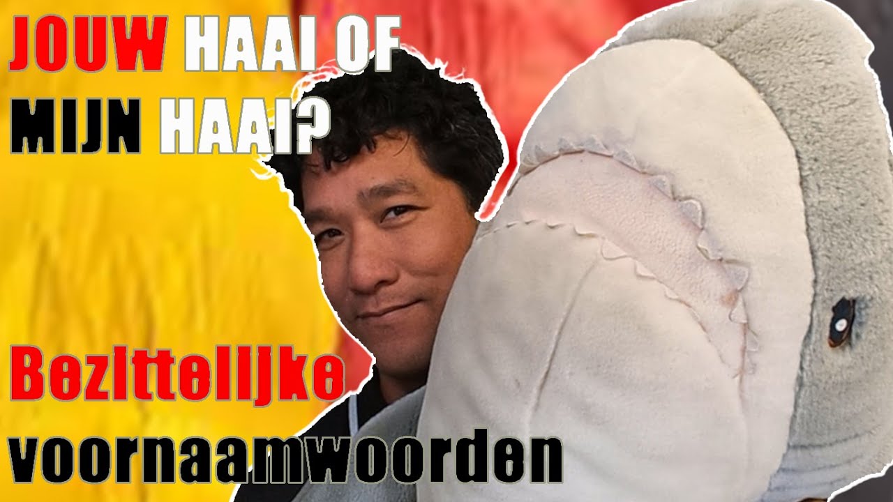 Dit is MIJN video (Duits uitleg bezittelijk voornaamwoord Possessivpronomen)