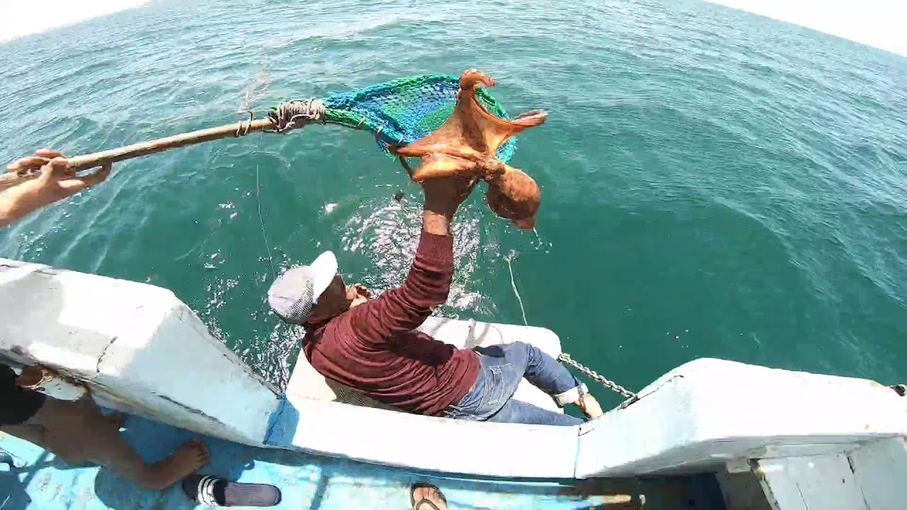 fishing from Alexandria Miami