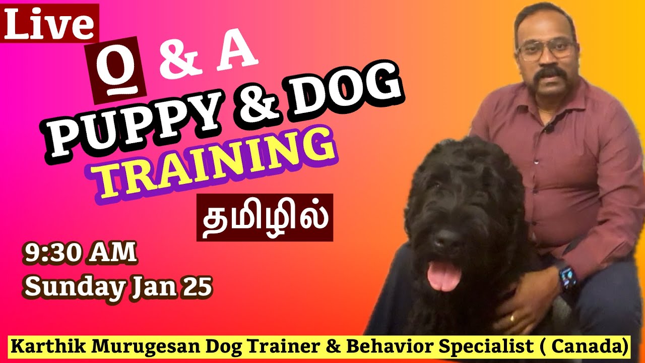 LIVE Q&A (Tamil) – Puppy & Dog Training | Karthik Murugesan