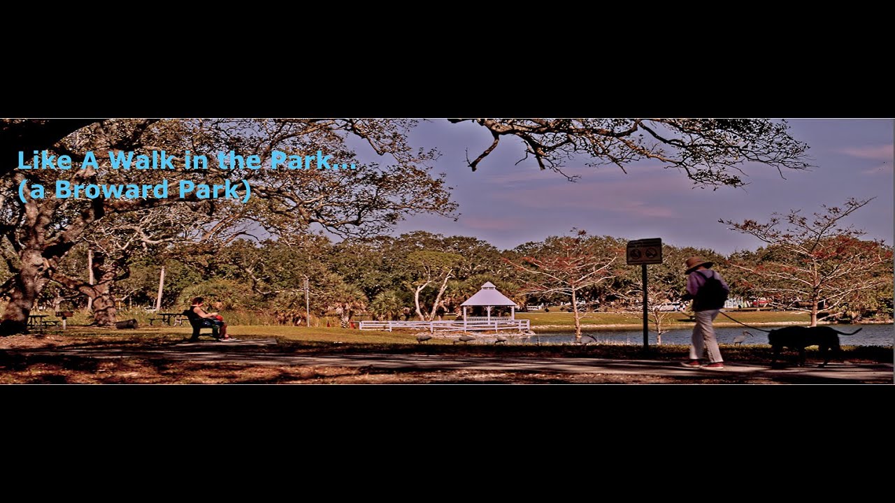 An Anamorphic View: A WALK IN THE PARK