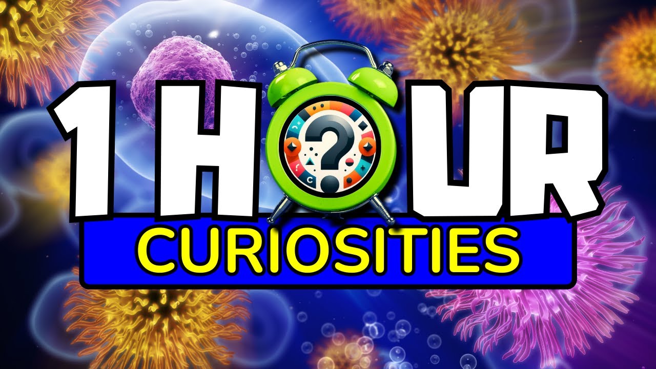 30 minutes NON-STOP Amazing Facts you DIDN'T Know #6