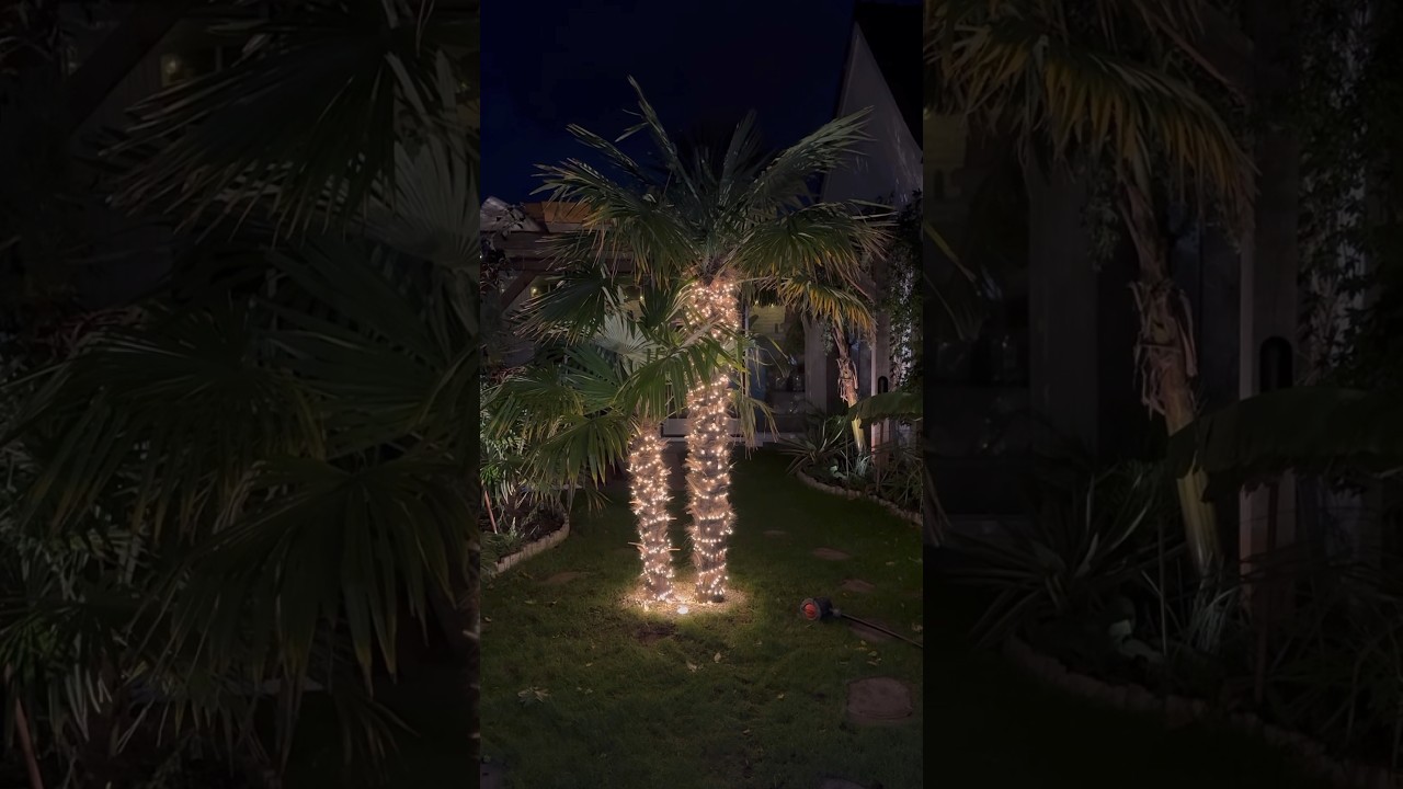 Do you like fairy lights? (Or Christmas lights as we call them in Dutch!) #christmas #lights