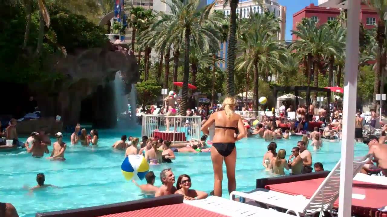 Flamingo Pool