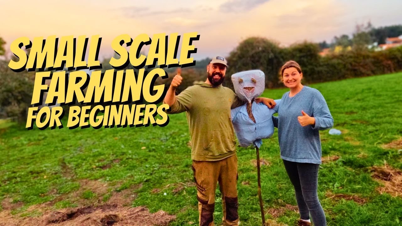 Bonus Video - Restoring an old off grid farm - WINTER WHEAT - traditional farming in Portugal