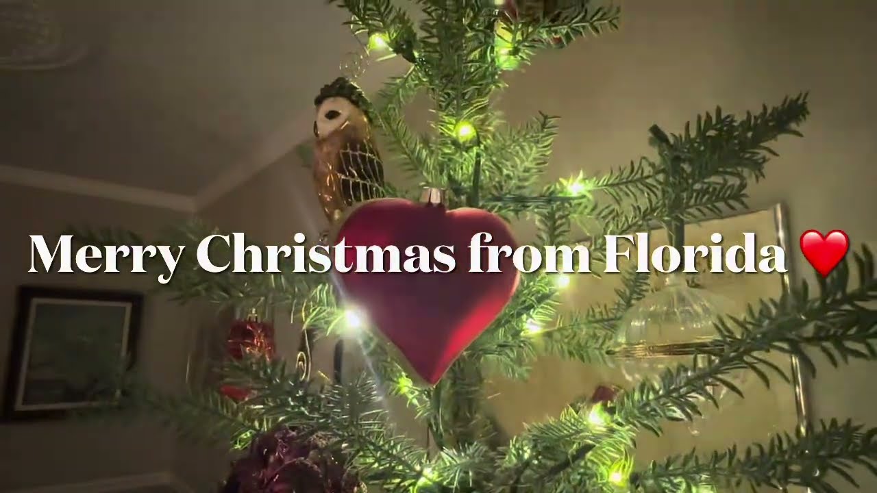 Vlogmas dalla Florida