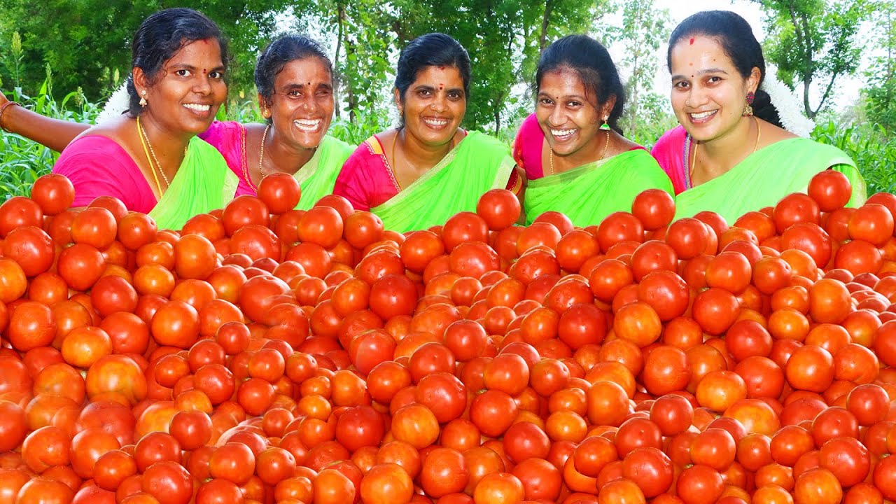 TOMATO RICE | தக்காளி சாதம் | World's Favourite🍅Tomato Rice Recipe😋Cooking in Village | VillageBabys