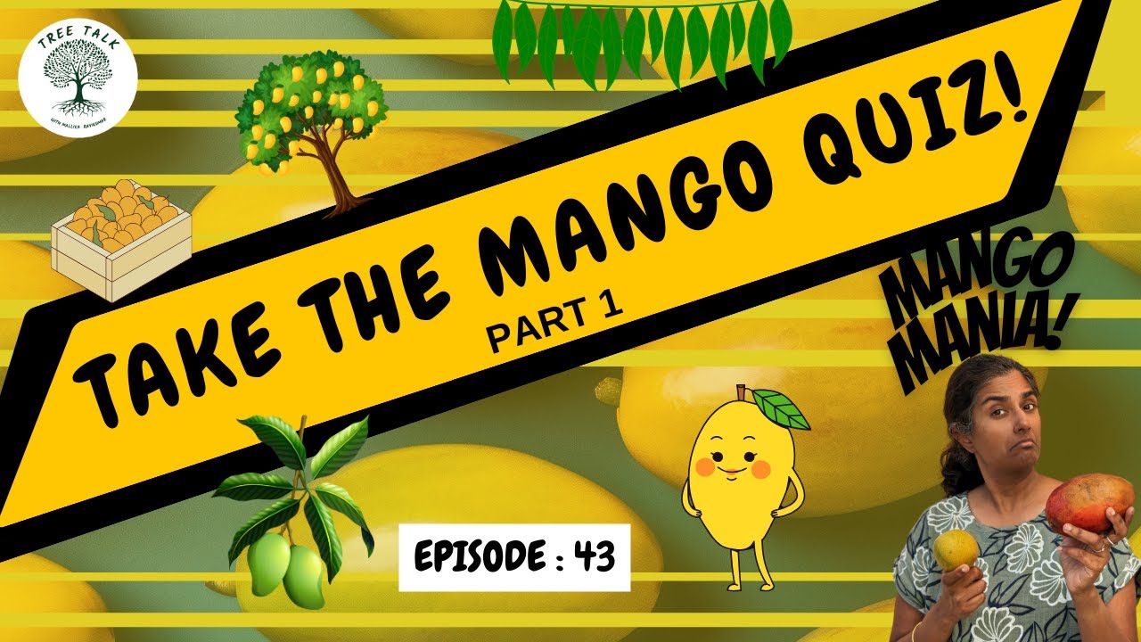 The India Mango Quiz