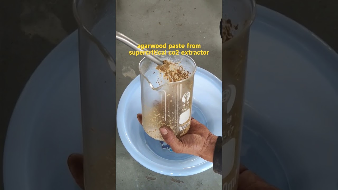 agarwood oil extraction by supercritical co2 extractor