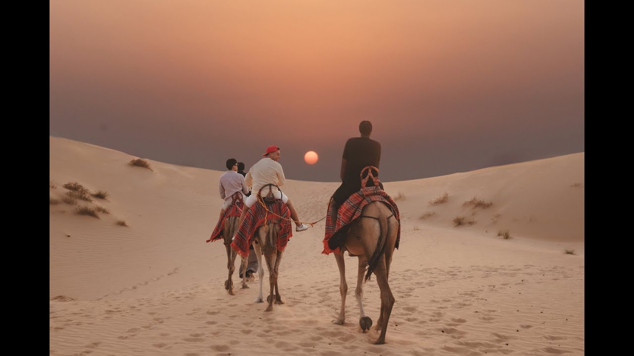 Marhaba Orientation Week | Visiting Students at NYU Abu Dhabi Fall 2025