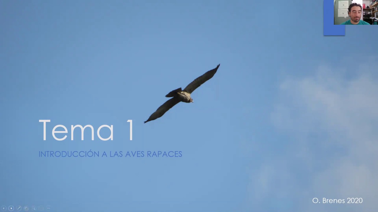 Tema 1, parte 1 (curso rapaces)