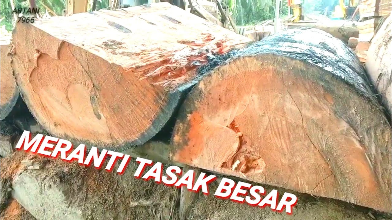 KAYU MERANTI BESAR BESAR