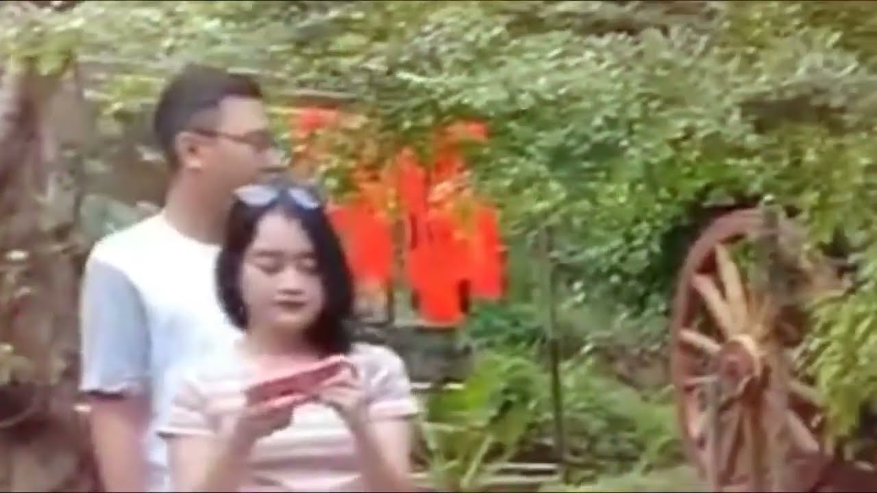 krycie pony koni zimnokrwistych sok&oacute;lskish cruela cambodia sri bangladesh meeting horse little 2021