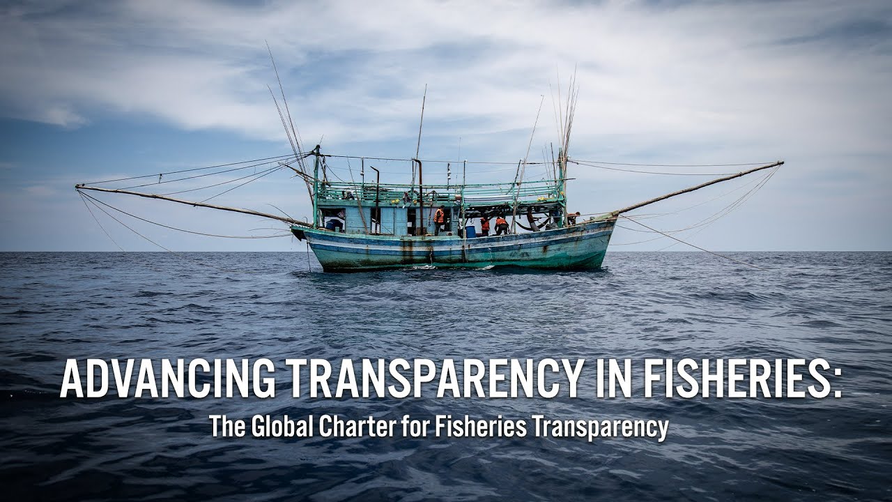 Advancing transparency in fisheries: The Global Charter for Fisheries Transparency