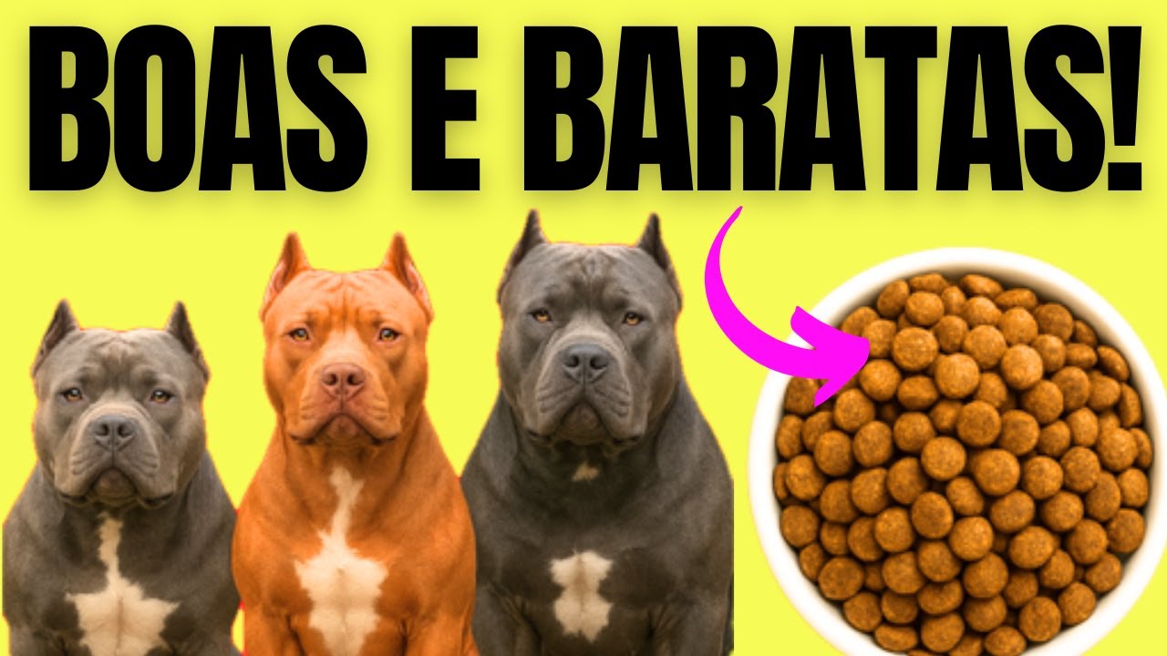 🏆Top 9 rações BOAS E BARATAS pra ✅PITBULL ✅American Bully ✅Pit Monster!