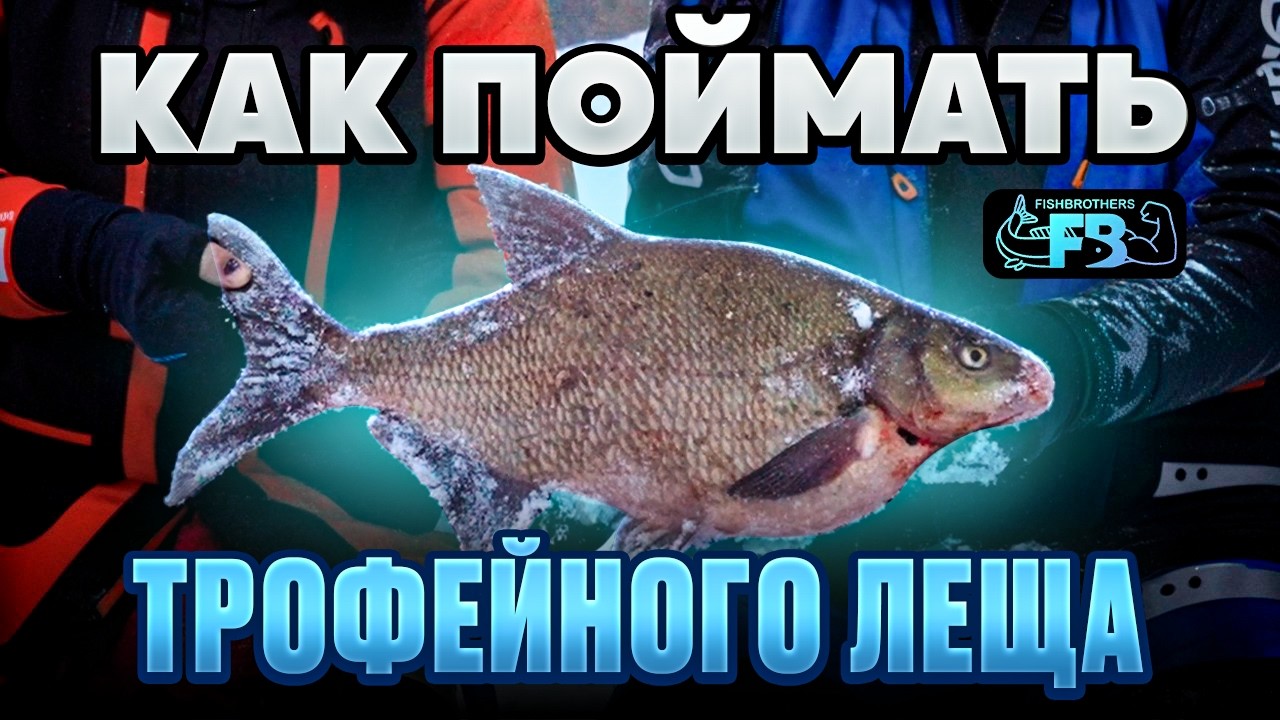 КАК ПОЙМАТЬ КРУПНОГО?  Лучшая снасть на ТРОФЕЙНОГО ЛЕЩА зимой. Секрет ловли крупной рыбы. БЕЗМОТЫЛКА
