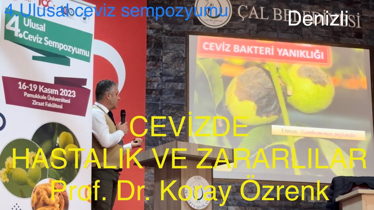 ! ÖNEMLİ ! CEVİZDE HASTALIK VE ZARARLILAR. Prof. Dr. Koray Özrenk. Ceviz Adam Ahmet