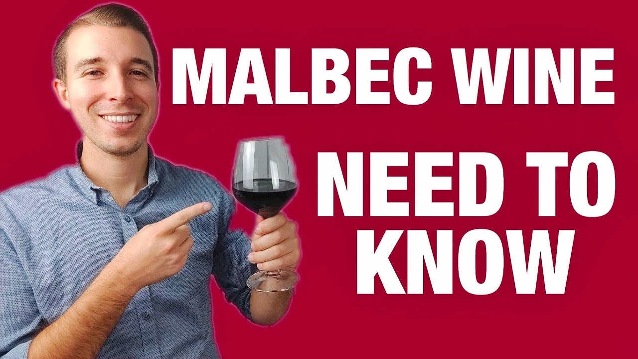 MALBEC RED WINE For Beginners