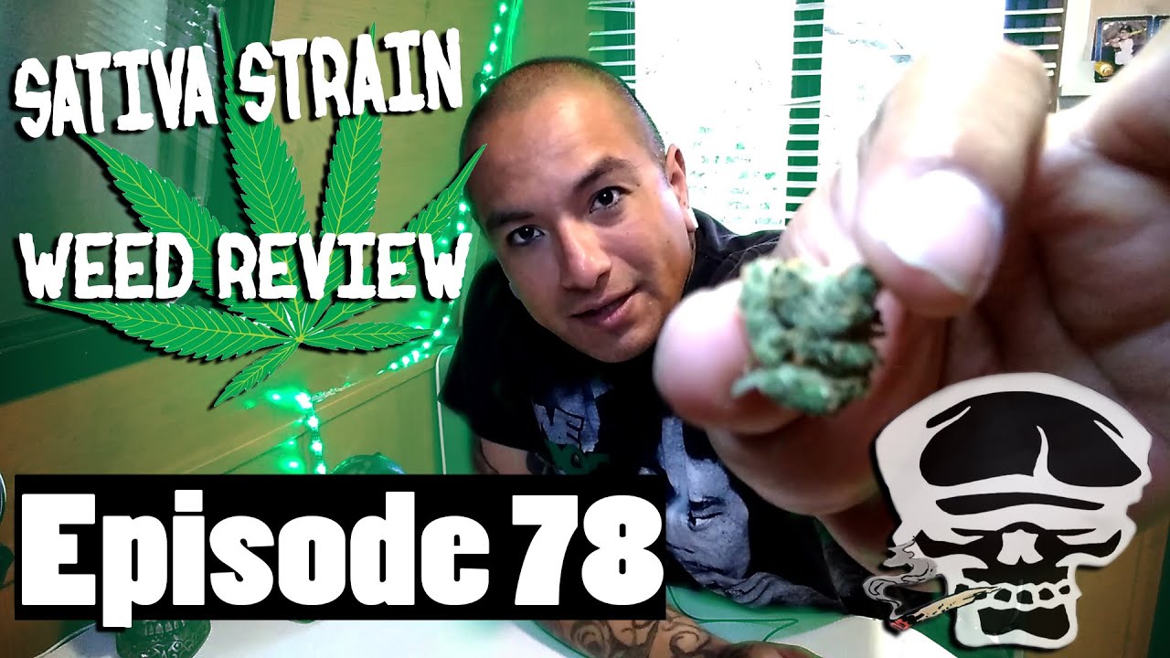 Sativa Strain Review-  Lambs Bread