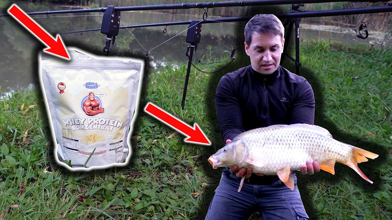TIPPS fürs Angeln am Vereinssee | LIVEBISS, DOPPELDRILL und was MARKUS RÜHL damit zu tun hat!