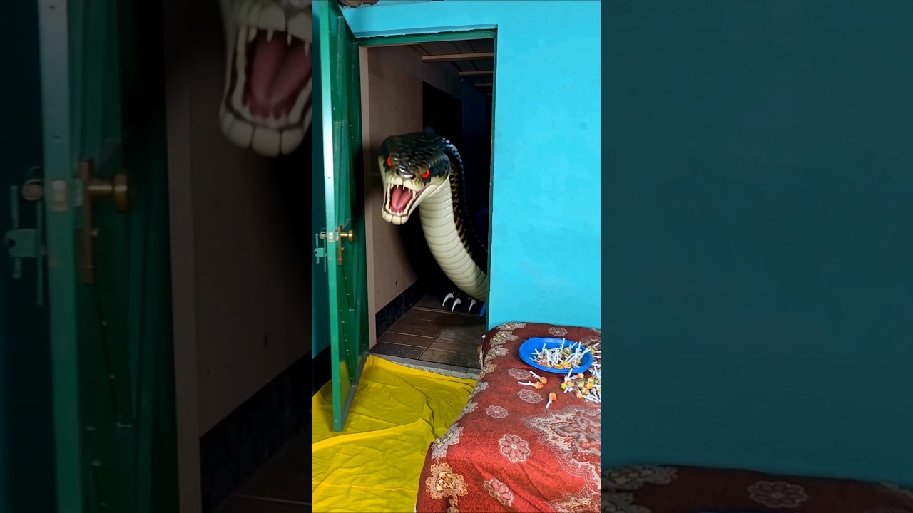 Little Brother Screams After Seeing a Giant Snake at the Door! 😱😂🐍