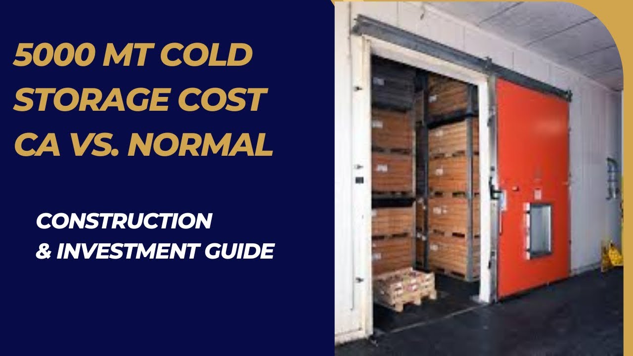 5000 MT cold store cost CA vs Normal - Construction & investment guide