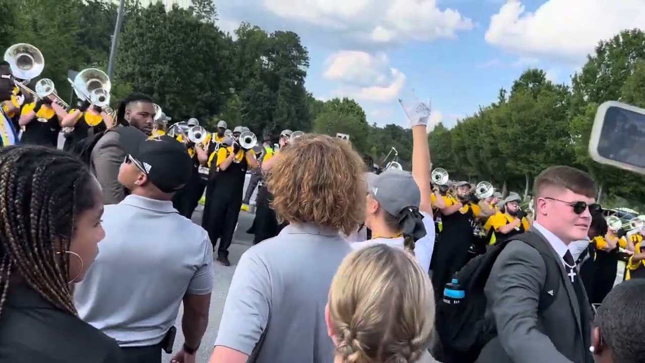 Owl Walk #1