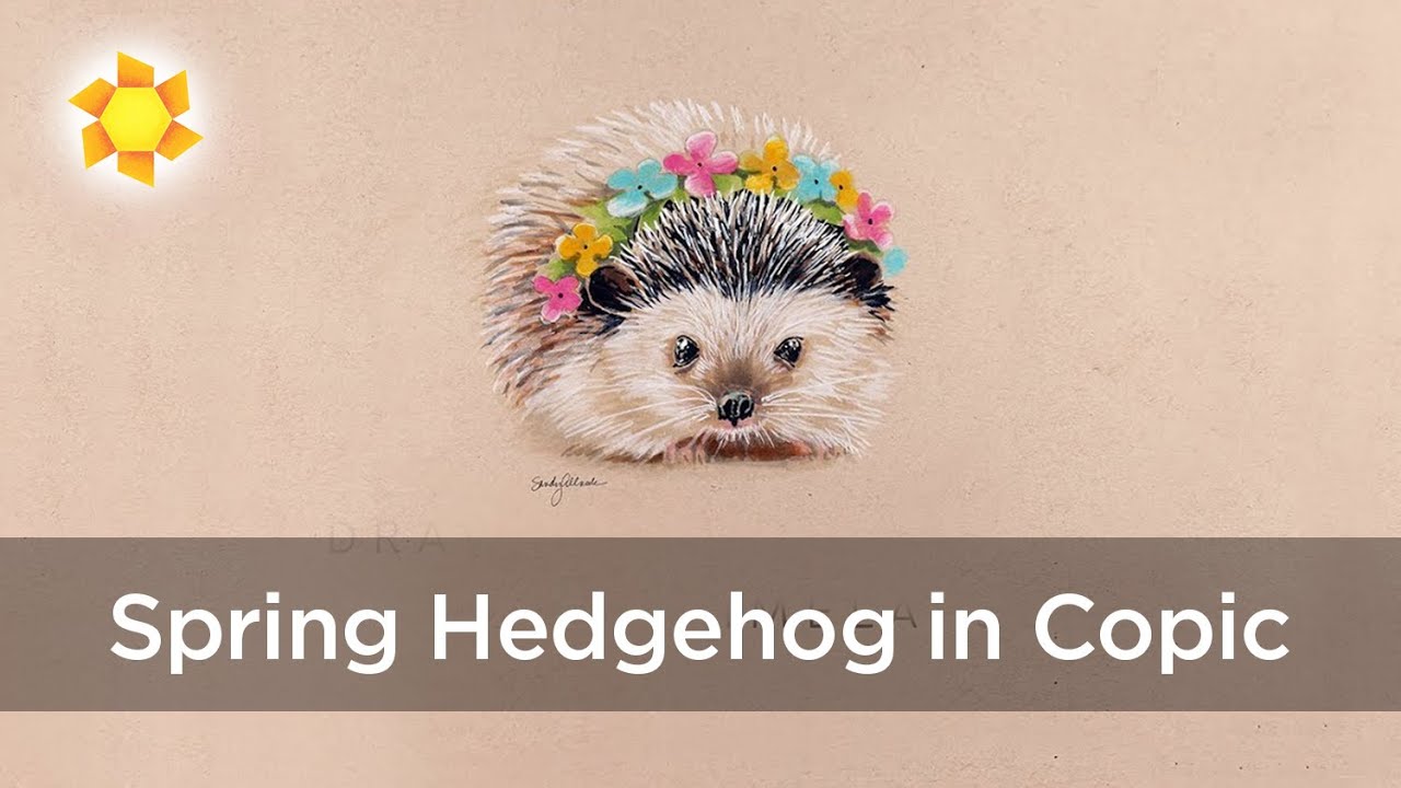 Spring Hedgehog in Alcohol Marker