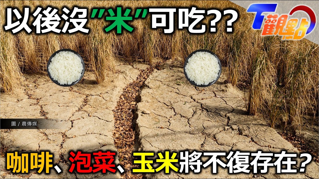 台灣站在氣候懸崖上?! 土地消失也沒米可以吃? 颱風不固定雨又下錯時間，乾旱增多熱死田 咖啡、泡菜、玉米將全部消失?! T觀點 20231014 (1/4)