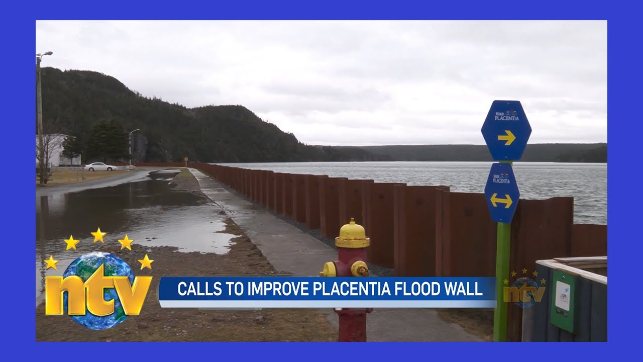 Placentia mayor says flood barrier in town needs major upgrading