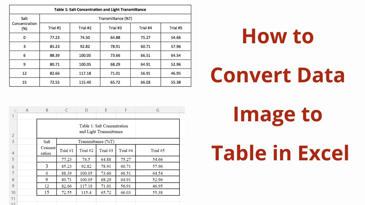 How to Convert Data Image to Excel Format