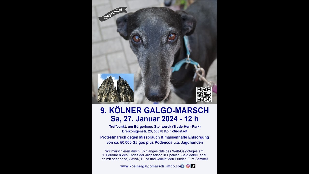 9. Kölner Galgo-Marsch 2024 impressie