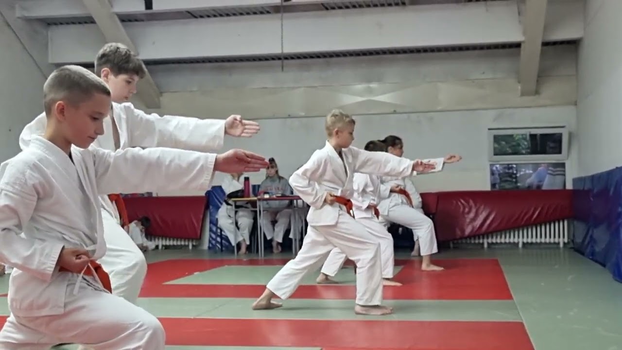 Kaja, polaganje za crveni pojas, karate, tehnika, 13.6.2023.