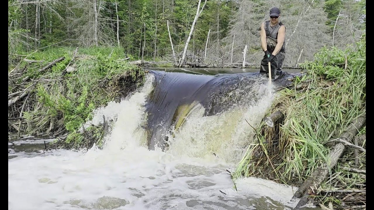 Simon's Dam #3 The 3 day pull!
