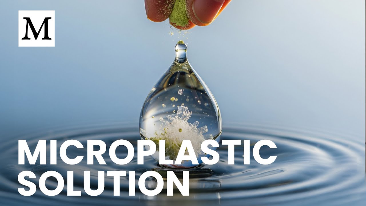 Remove 93% of Plastic from Your Water Naturally | Mercola Cellular Wisdom
